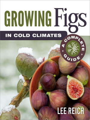 cover image of Growing Figs in Cold Climates
